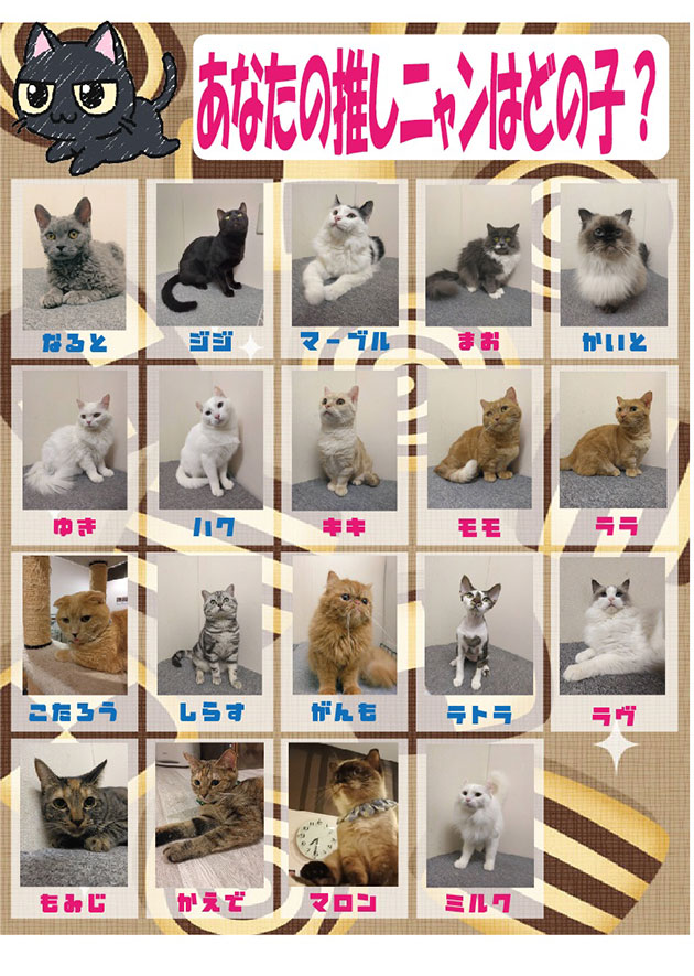 ネコカフェ