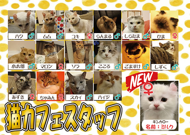 最新情報 アミパ佐野店