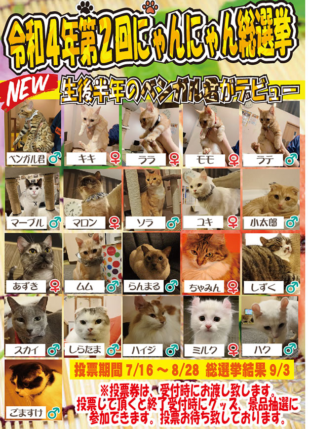 猫カフェ アミパ佐野店